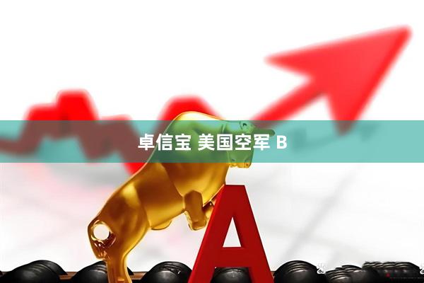 卓信宝 美国空军 B