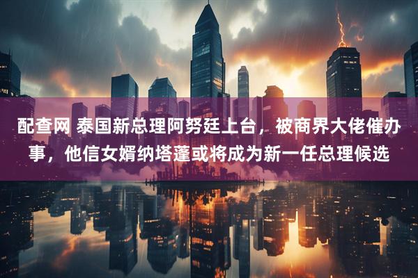 配查网 泰国新总理阿努廷上台，被商界大佬催办事，他信女婿纳塔蓬或将成为新一任总理候选