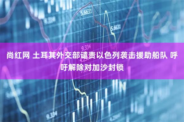 尚红网 土耳其外交部谴责以色列袭击援助船队 呼吁解除对加沙封锁
