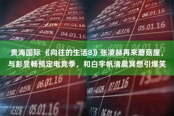 贵海国际 《向往的生活8》张凌赫再来蘑菇屋，与彭昱畅预定电竞季，和白宇帆清晨冥想引爆笑