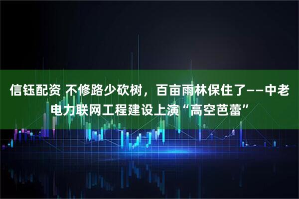信钰配资 不修路少砍树，百亩雨林保住了——中老电力联网工程建设上演“高空芭蕾”