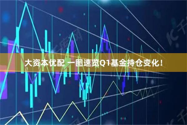 大资本优配 一图速览Q1基金持仓变化！